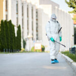 Is Your Landlord Responsible for Your Pest Control?