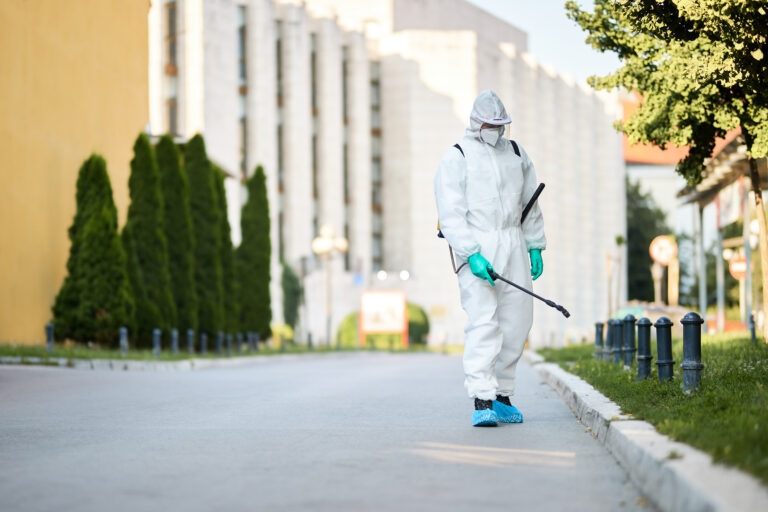 Is Your Landlord Responsible for Your Pest Control?
